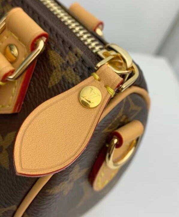 Louis Vuitton Nano speedy bag Brown